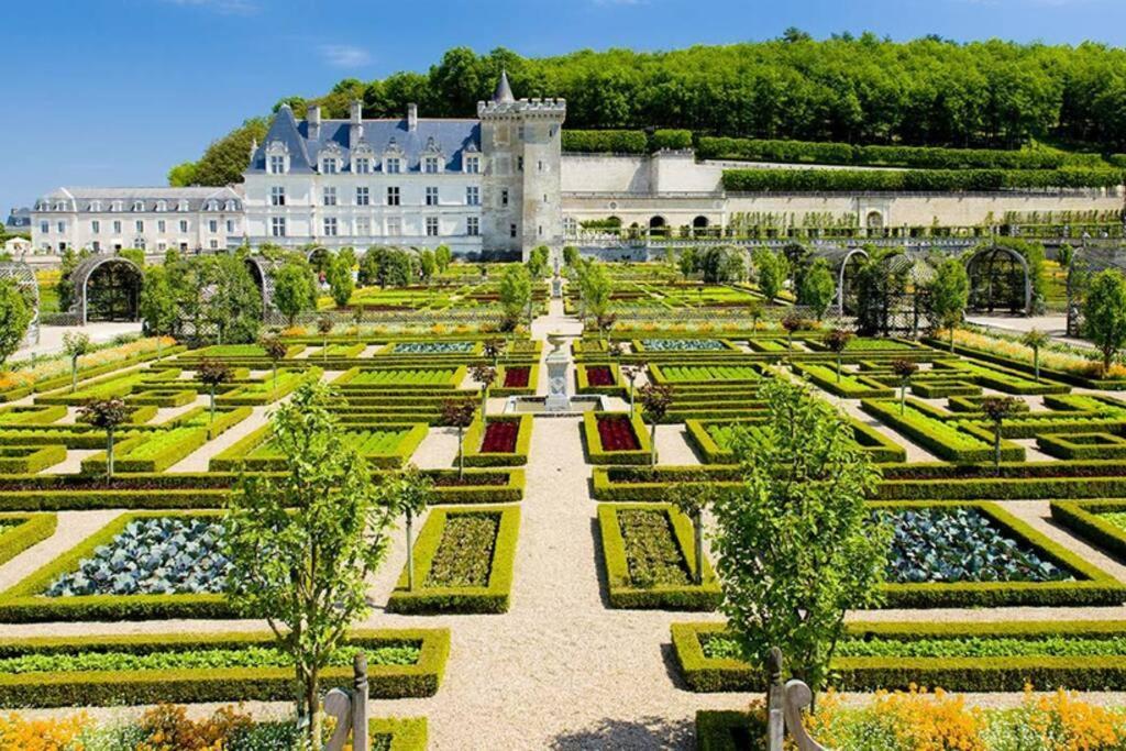 Amalouyse Studio De Charme Au Coeur Des Chateaux De Loire Монлуи-сюр-Луар Экстерьер фото
