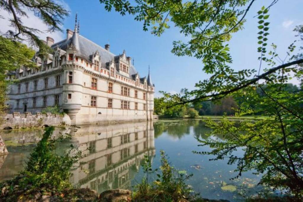 Amalouyse Studio De Charme Au Coeur Des Chateaux De Loire Монлуи-сюр-Луар Экстерьер фото